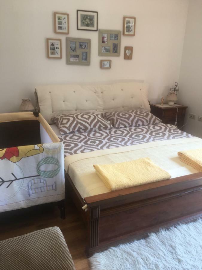 Apartments Vjeverica Zelin Mrzlovodicki Zewnętrze zdjęcie